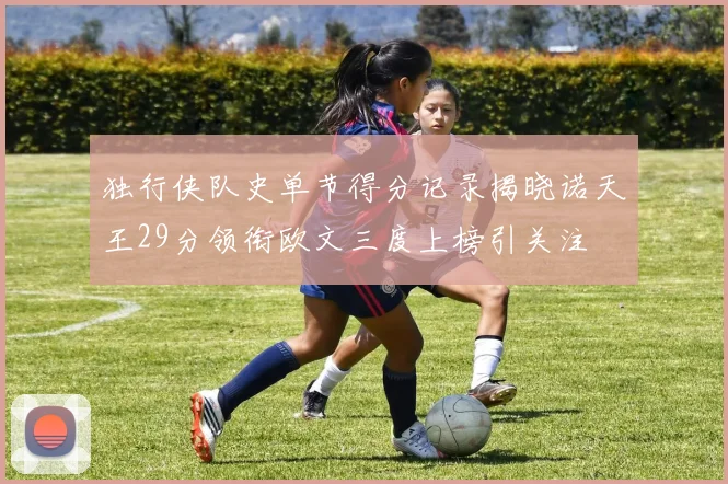 独行侠队史单节得分记录揭晓诺天王29分领衔欧文三度上榜引关注