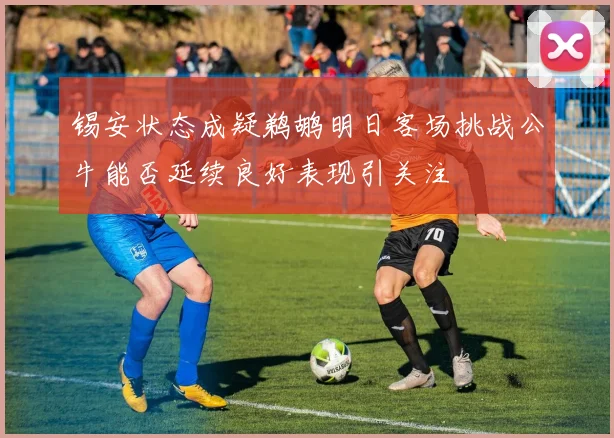 锡安状态成疑鹈鹕明日客场挑战公牛能否延续良好表现引关注