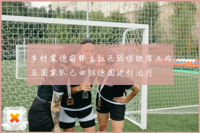 多特蒙德前锋吉拉西因伤缺席几内亚国家队已回归德国进行治疗