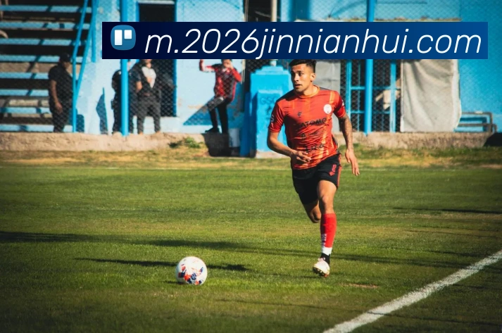 今年会官网平台生态图